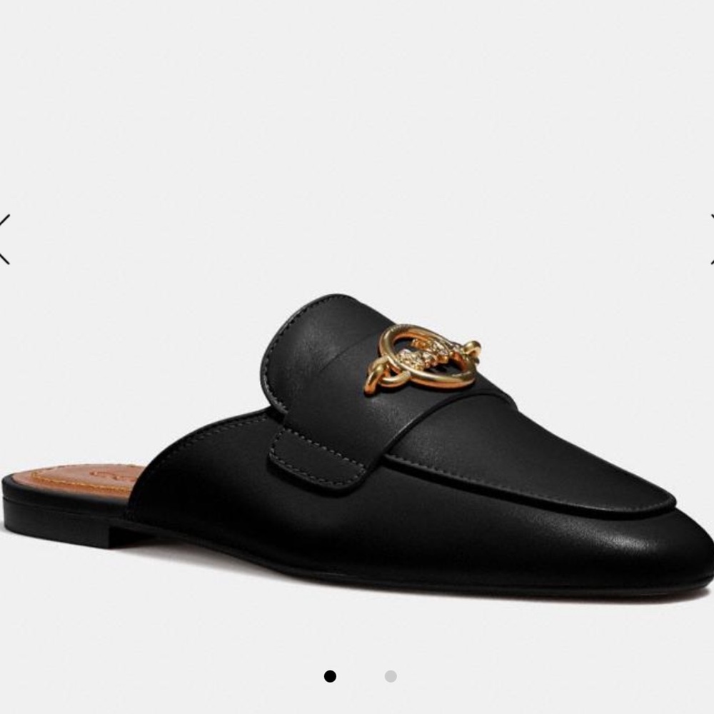 COACH Scotty Slides